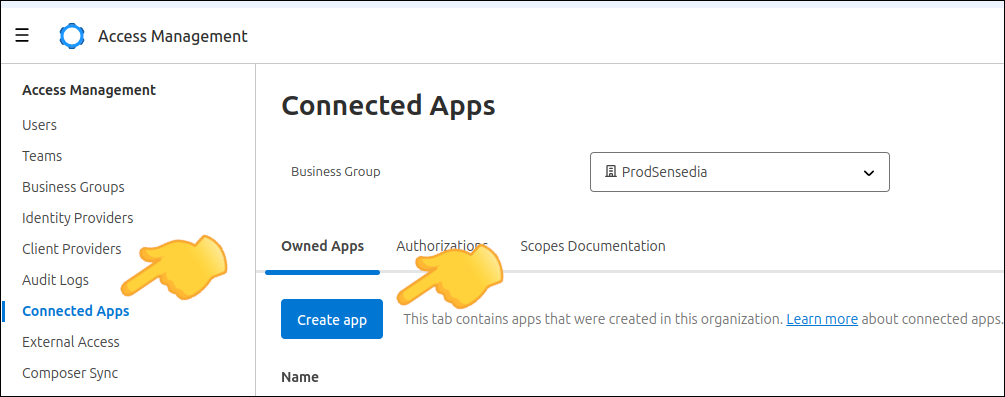 detalle de la pantalla de Mulesoft
