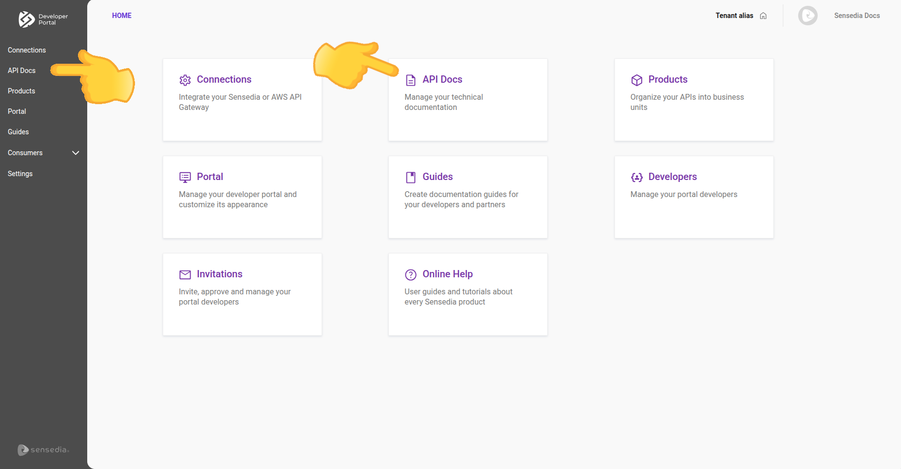 pantalla inicial con énfasis en api docs