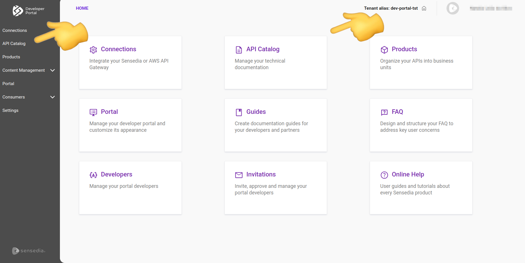 acesso ao API Catalog